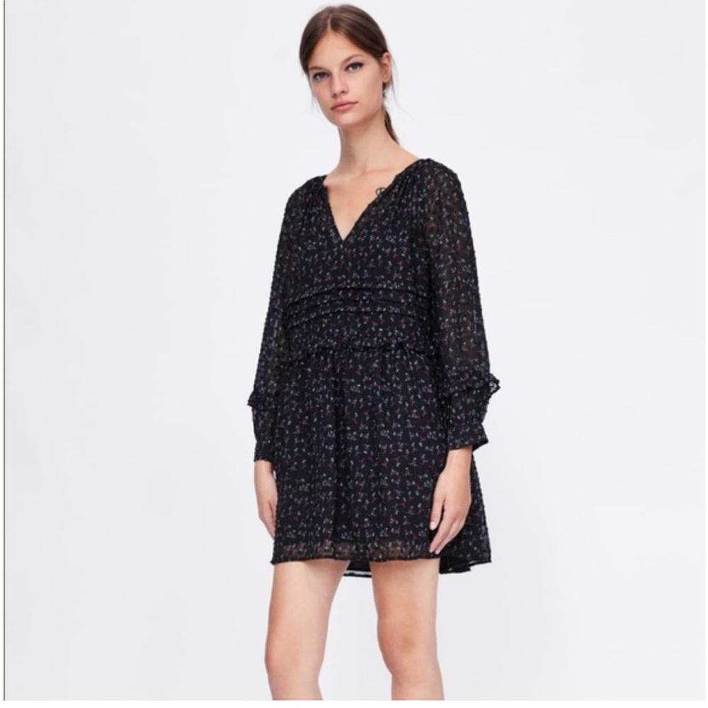 Zara Floral Swiss Dot Dress Sheer Black Long Sleeve Women’s Size Small